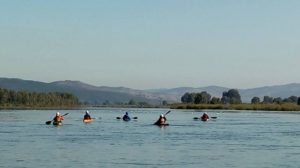 Travesía kayak Río Maule hasta Constitucion