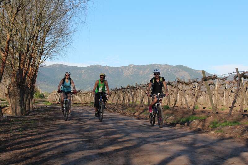 Lee más sobre el artículo Bicicletas y Vinos por el Valle de Aconcagua